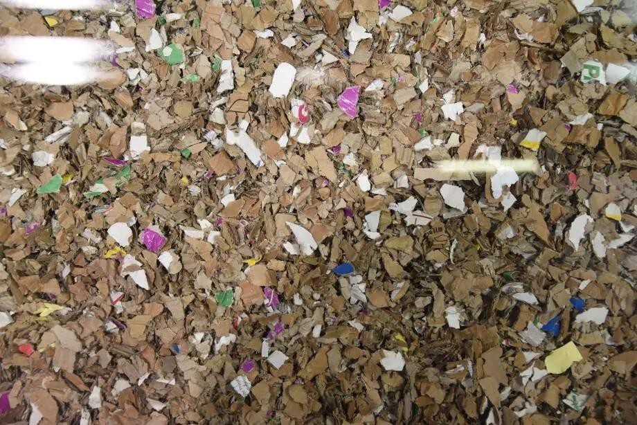 SHREDDING .jpg_.webp.jpg